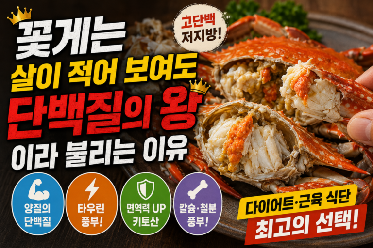 썸네일 사진