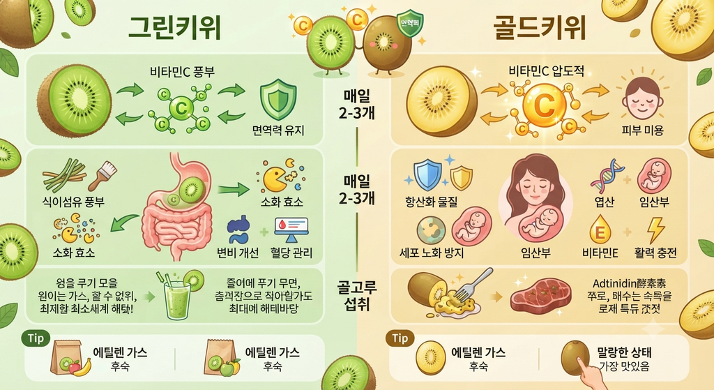 골드키위와 그린키위, 비타민C는 어느 쪽이 더 많을까? 1 Gemini Generated Image ect3u0ect3u0ect3