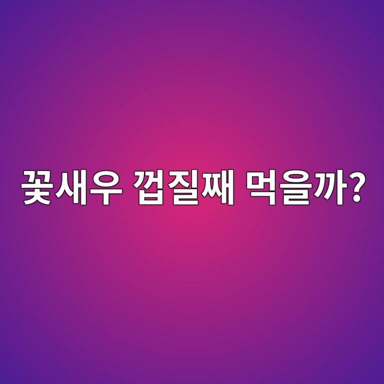 eabd83ec8388ec9ab0 eabb8deca788eca7b8 eba8b9ec9d84eab98c 1788009476