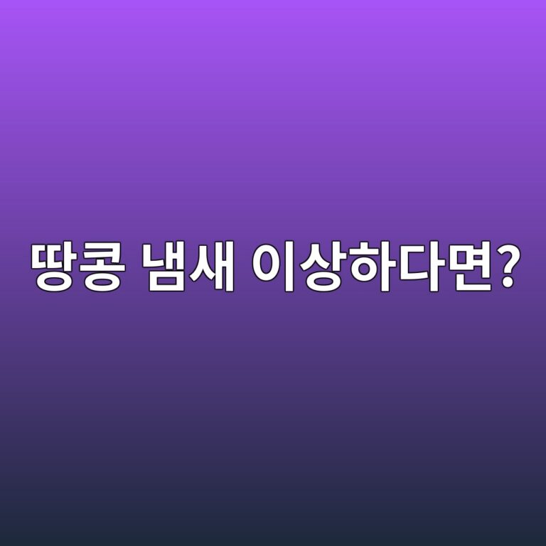 eb9585ecbda9 eb8384ec8388 ec9db4ec8381ed9598eb8ba4eba9b4 1787744146