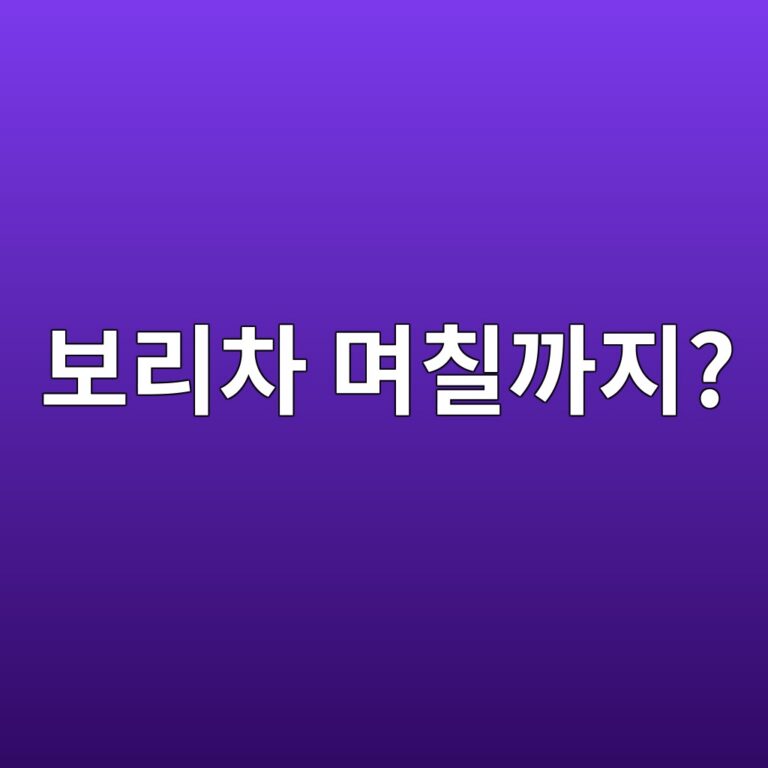 끓인 보리차는 냉장고에서 며칠까지 마셔도 될까? 8 ebb3b4eba6acecb0a8 eba9b0ecb9a0eab98ceca780 1787572398