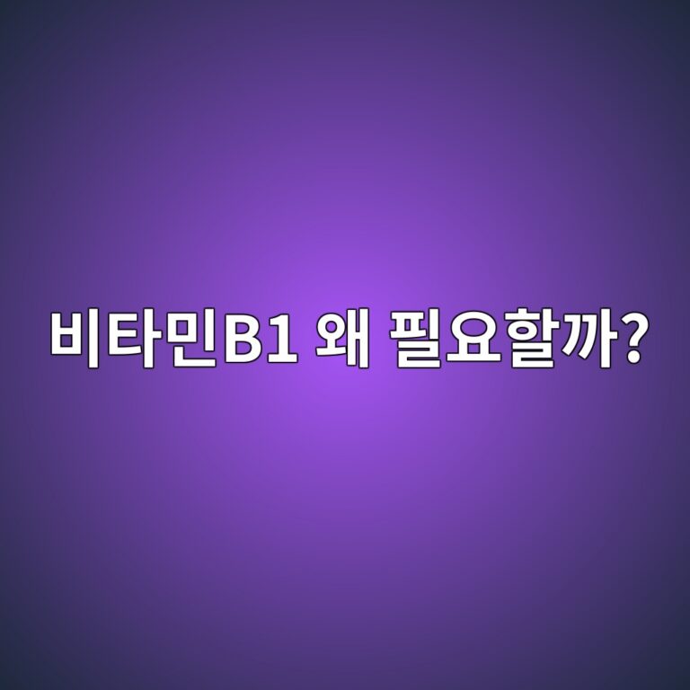 ebb984ed8380ebafbcb1 ec999c ed9584ec9a94ed95a0eab98c 1787843417