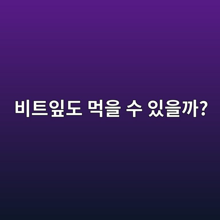 ebb984ed8ab8ec9e8eeb8f84 eba8b9ec9d84 ec8898 ec9e88ec9d84eab98c 1788010550