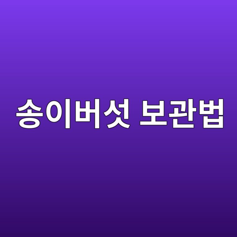 ec86a1ec9db4ebb284ec84af ebb3b4eab480ebb295 1787430308