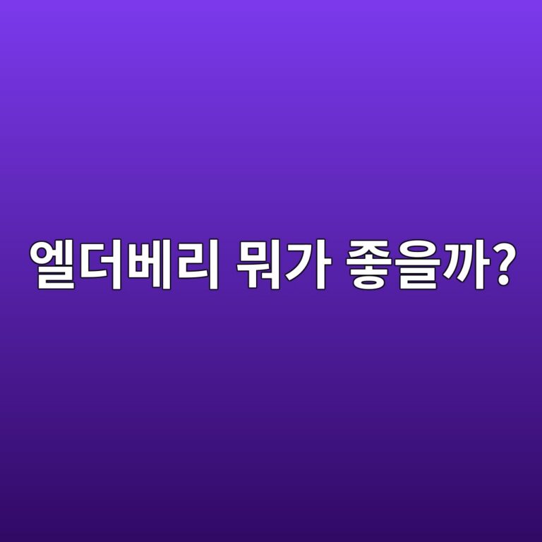 엘더베리는 어떤 열매일까? 우리 몸에 좋은 성분과 주요 효능 6 ec9798eb8d94ebb2a0eba6ac ebad90eab080 eca28bec9d84eab98c 1788157966