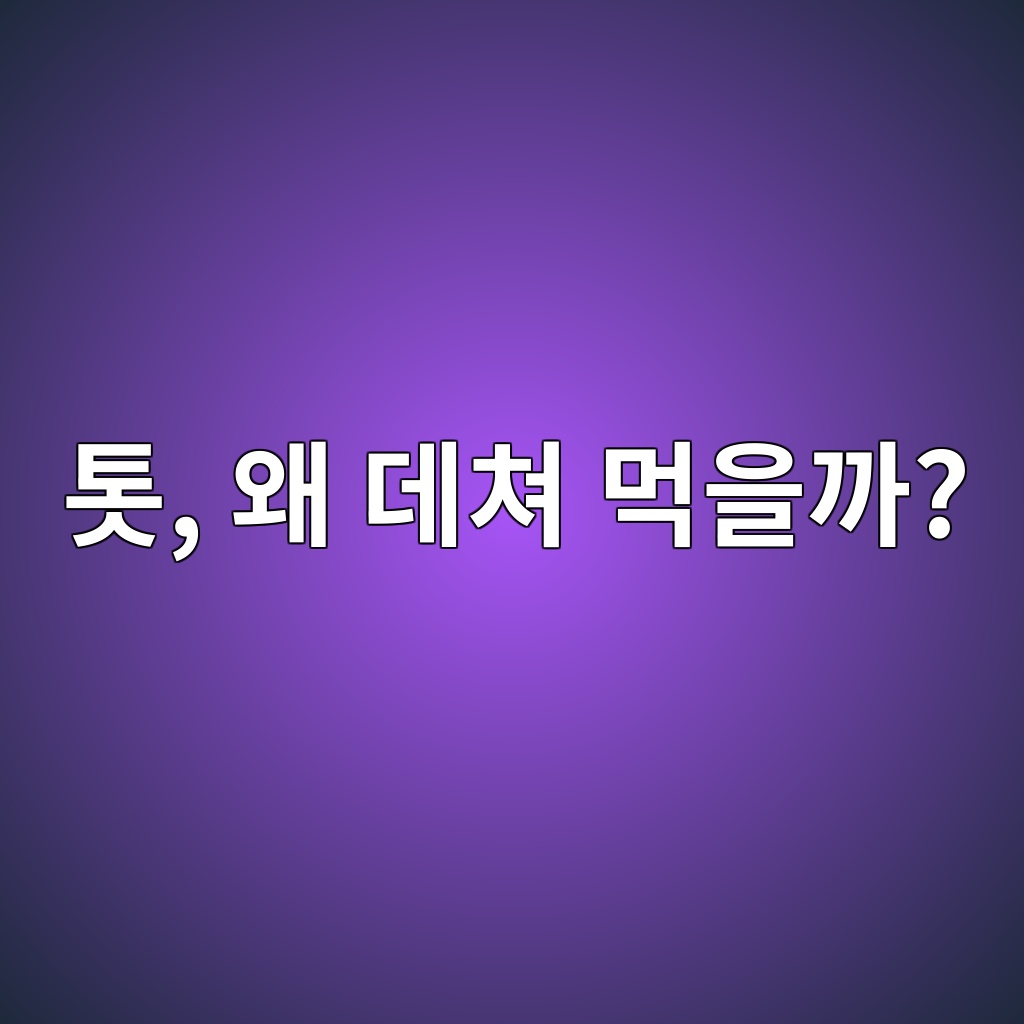 ed86b3 ec999c eb8db0ecb390 eba8b9ec9d84eab98c 1787300278