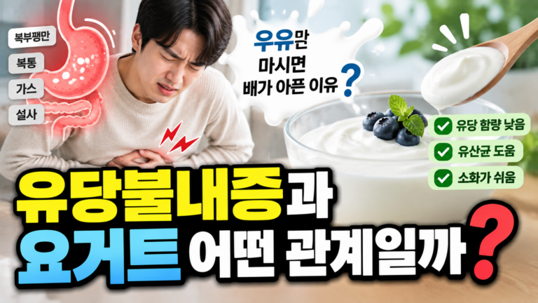 유당불내증과 요거트