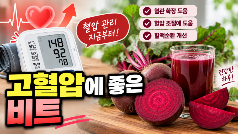 고혈압에 좋은 비트