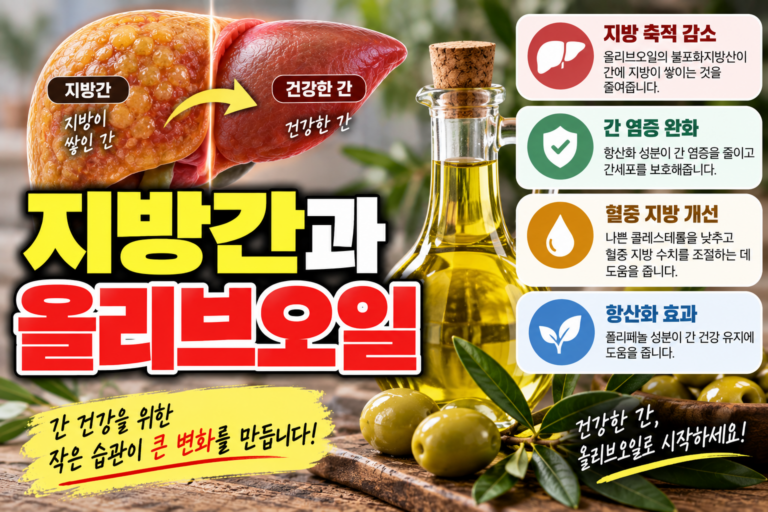 지방간 식단에 좋은 올리브오일, 불포화지방 영양과 활용법 1 지방간과 올리브오일
