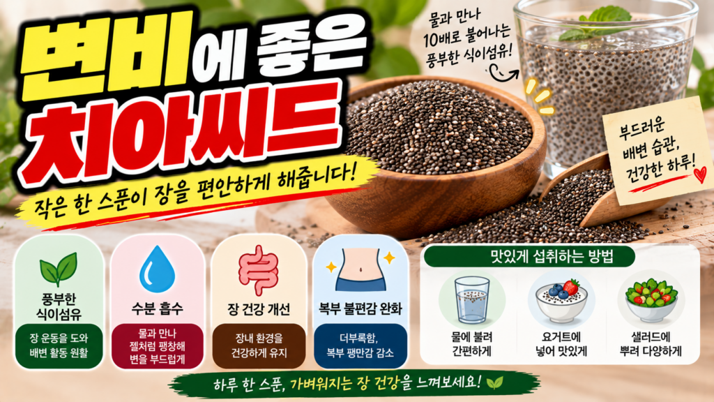 변비에 좋은 치아씨드, 수용성 식이섬유 효능과 섭취법 1 변비에 좋은 치아씨드