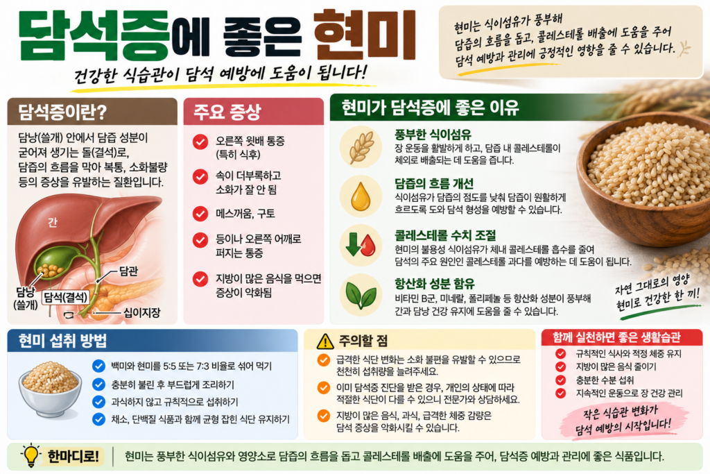 담석증 예방에 좋은 현미, 식이섬유 효능과 먹는 법 1 담석증 예방에 좋은 현미, 식이섬유 효능과 먹는 법