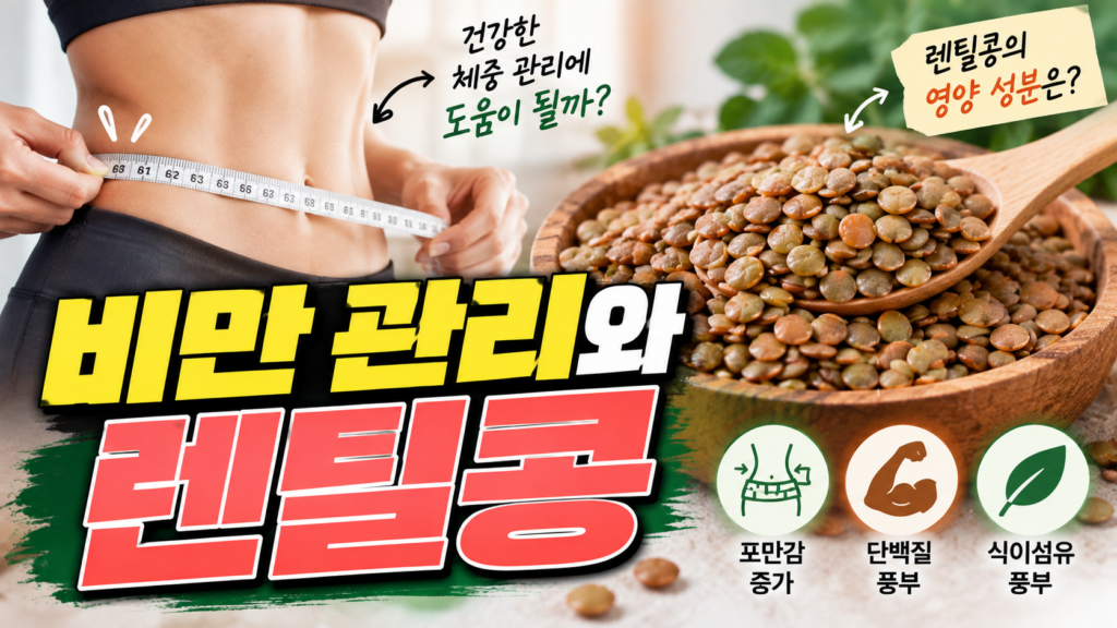 비만 체중관리에 좋은 렌틸콩, 식이섬유·단백질 영양과 섭취법