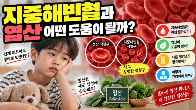 지중해빈혈에 활용하는 엽산, 적혈구 생성 역할과 복용법 9 지중해빈혈에 활용하는 엽산, 적혈구 생성 역할과 복용법