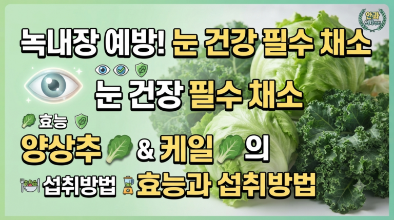 녹내장과 눈 건강에 좋은 양상추와 케일에 효능과 섭취방법