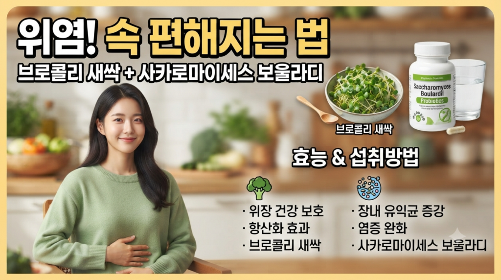 위염으로 속이 더 불편해질때 좋아지는 브로콜리 새싹 과 사카로마이세스 보울라디 프로바이오틱스에 효능과 섭취방법