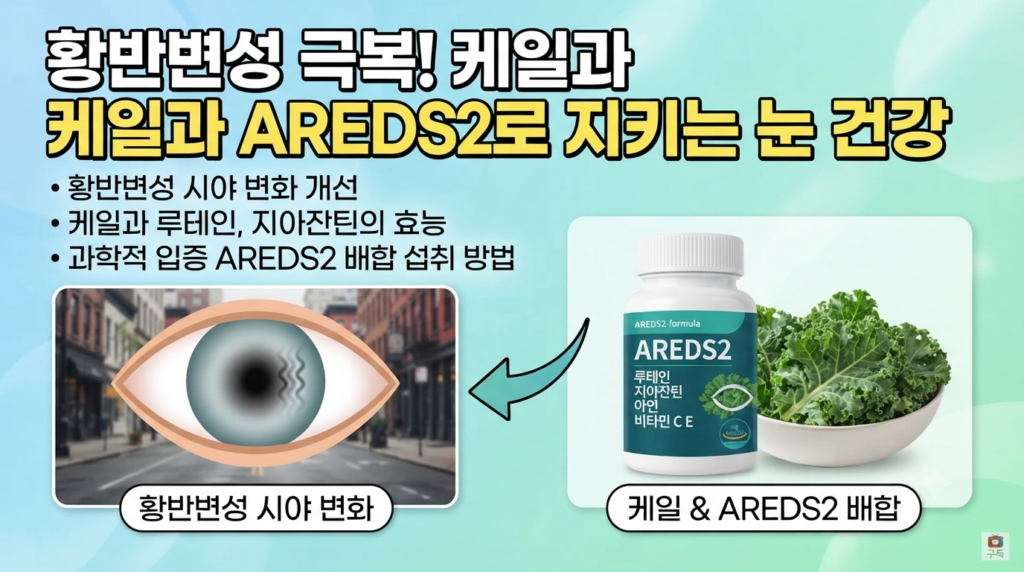 몸에 황반변성이 생길 때 시야 변화에 좋은 케일과 AREDS2 배합 영양제 효능과 섭취방법 1 몸에 황반변성이 생길 때 시야 변화에 좋은 케일과 AREDS2 배합 영양제 효능과 섭취방법