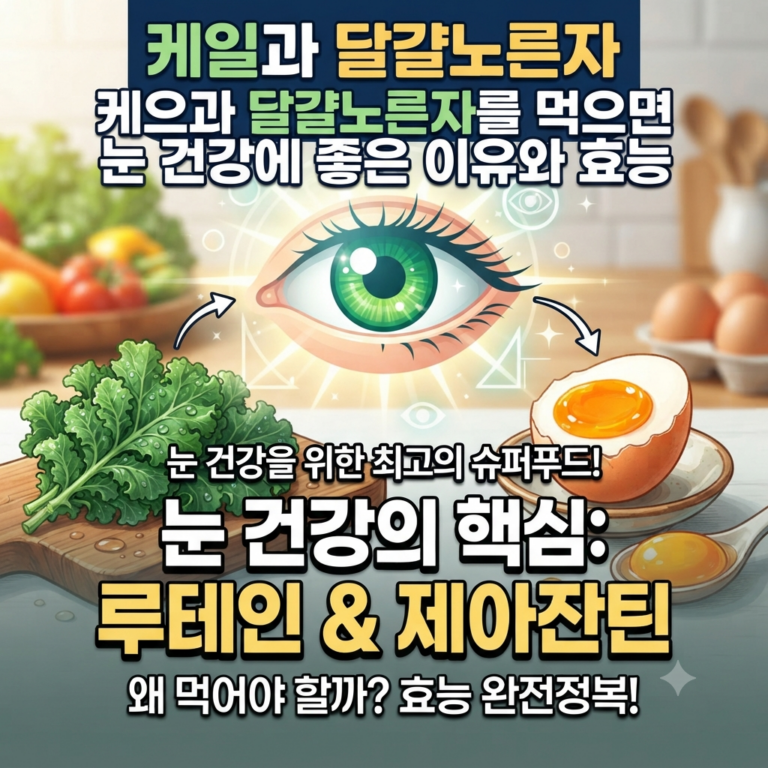 케일과 달걀노른자를 먹으면 눈 건강에 좋은 이유와 효능