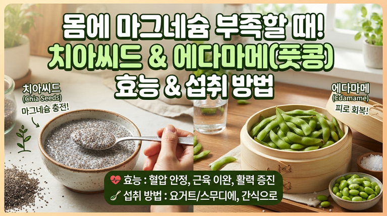 몸에 마그네슘 부족할때 치아씨드와 에다마메(풋콩)에 효능과 섭취방법 2 몸에 마그네슘 부족할때 치아씨드와 에다마메(풋콩)에 효능과 섭취방법