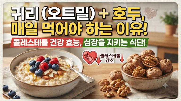 귀리(오트밀)와 호두를 먹으면 좋은 이유와 콜레스테롤 건강 효능