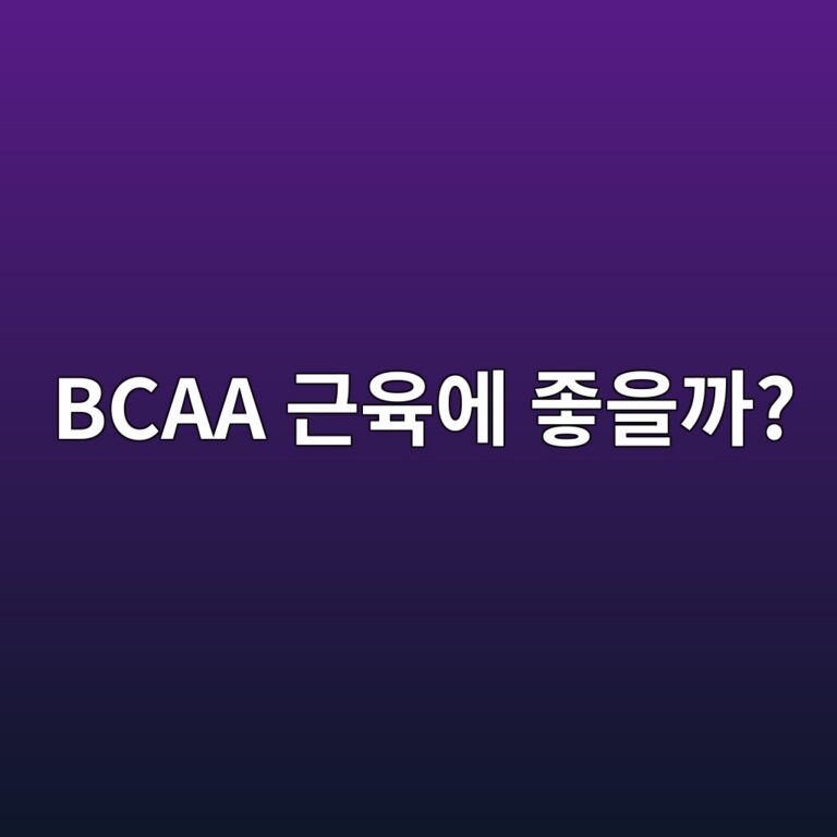 BCAA는 근육 건강에 어떤 역할을 할까? 중장년층도 알아둘 아미노산 특징 9 bcaa eab7bcec9ca1ec9790 eca28bec9d84eab98c 1788528205