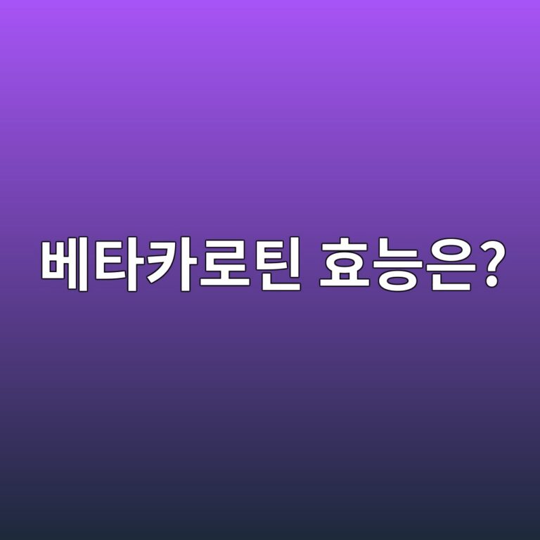 ebb2a0ed8380ecb9b4eba19ced8bb4 ed9aa8eb8aa5ec9d80 1788779092