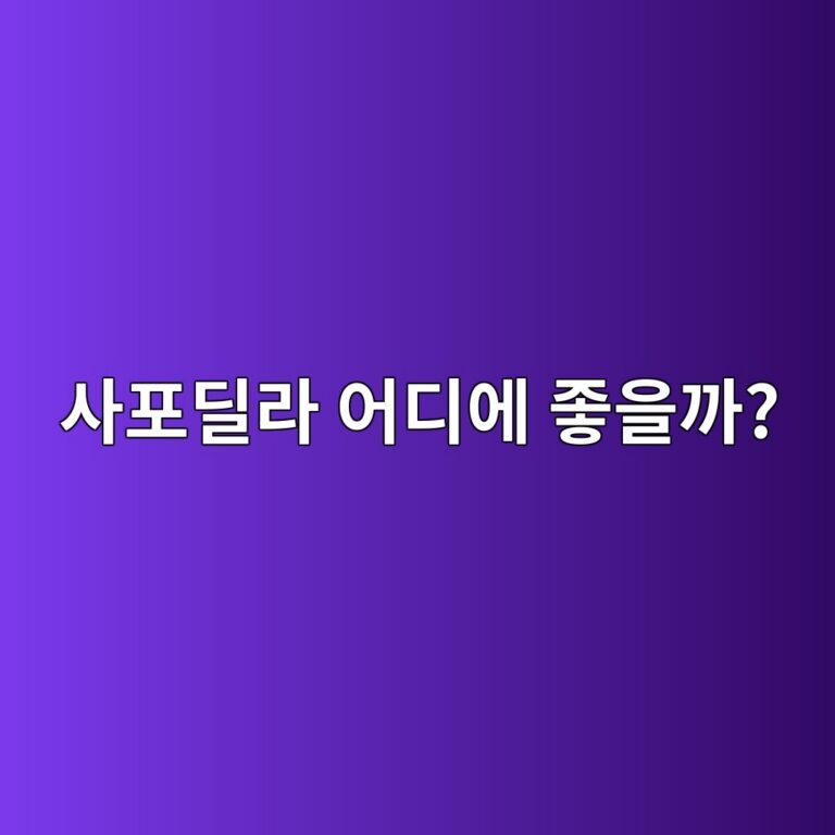 사포딜라 효능은 무엇일까? 식이섬유와 비타민을 중심으로 본 영양 12 ec82aced8faceb949ceb9dbc ec96b4eb9494ec9790 eca28bec9d84eab98c 1788872724