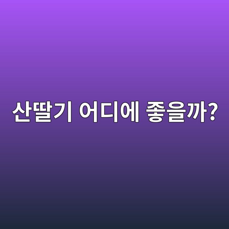산딸기를 먹으면 좋은 이유는? 붉은 열매의 영양성분과 주요 효능 11 ec82b0eb94b8eab8b0 ec96b4eb9494ec9790 eca28bec9d84eab98c 1788353671