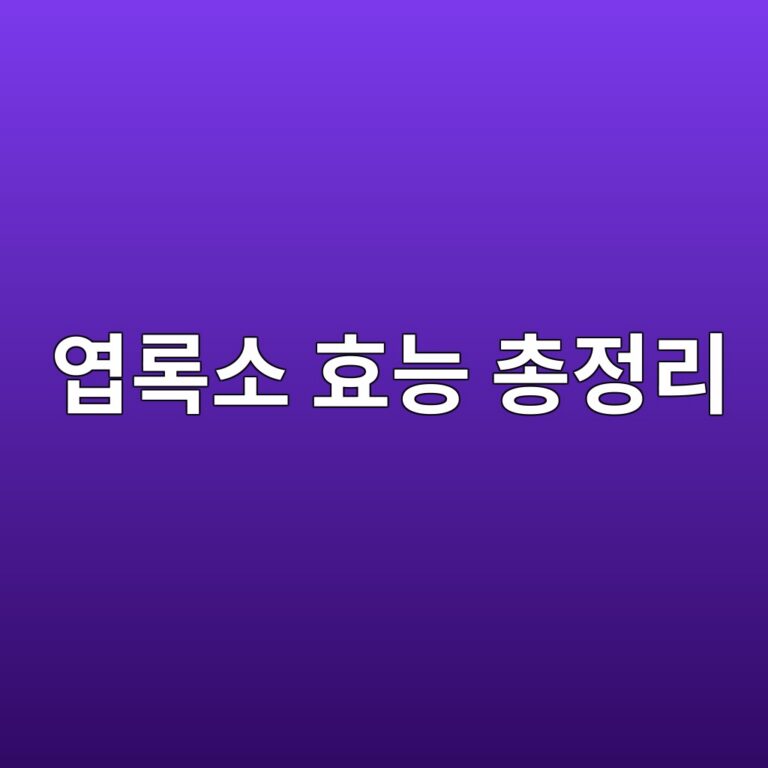 엽록소 효능은 무엇일까? 클로로필 건강식품을 찾는 이유와 먹을 때 주의점 11 ec97bdeba19dec868c ed9aa8eb8aa5 ecb49deca095eba6ac 1788693886