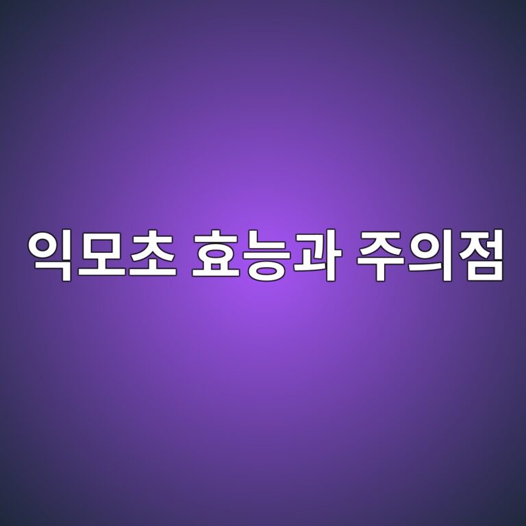 ec9db5ebaaa8ecb488 ed9aa8eb8aa5eab3bc eca3bcec9d98eca090 1788694271