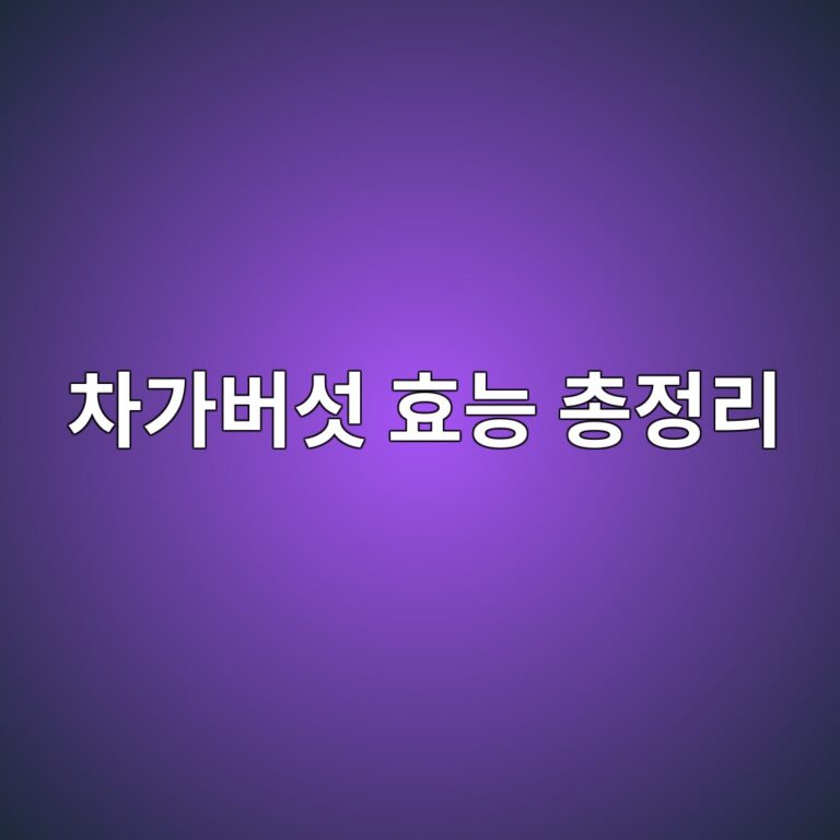 차가버섯 효능 총정리, 우리 몸 어디에 좋고 먹을 때 주의할 점은? 8 ecb0a8eab080ebb284ec84af ed9aa8eb8aa5 ecb49deca095eba6ac 1788693781
