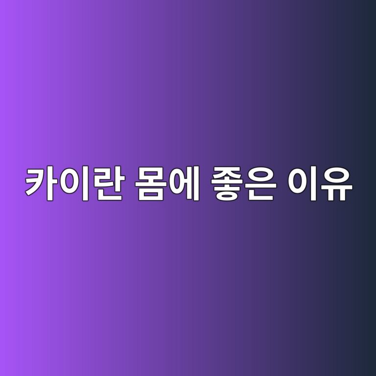 카이란 효능 총정리, 비타민과 칼슘이 풍부한 채소로 먹는 이유 5 ecb9b4ec9db4eb9e80 ebaab8ec9790 eca28bec9d80 ec9db4ec9ca0 1788873038