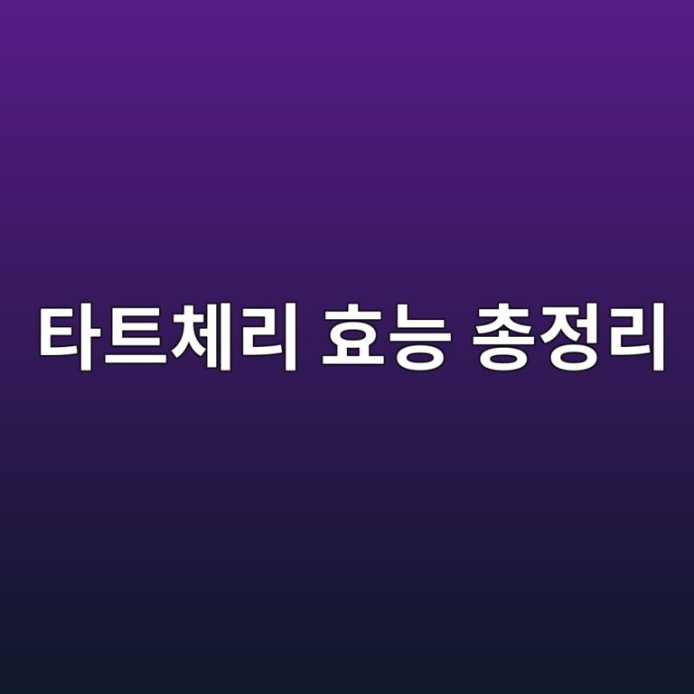 ed8380ed8ab8ecb2b4eba6ac ed9aa8eb8aa5 ecb49deca095eba6ac 1788616665