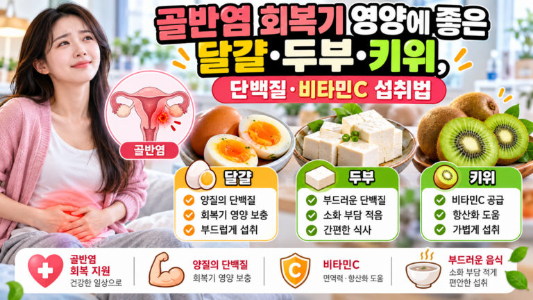 골반염 회복기 영양에 좋은 달걀·두부·키위, 단백질·비타민C 섭취법