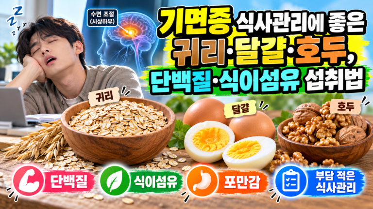 기면증 식사관리에 좋은 귀리·달걀·호두, 단백질·식이섬유 섭취법