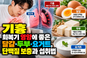 기흉 회복기 영양에 좋은 달걀·두부·요거트, 단백질 보충과 섭취법 4 기흉 회복기 영양에 좋은 달걀·두부·요거트, 단백질 보충과 섭취법