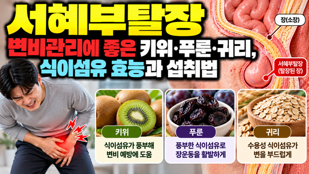 서혜부탈장 변비관리에 좋은 키위·푸룬·귀리, 식이섬유 효능과 섭취법