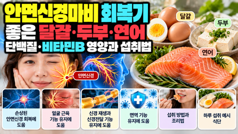 안면신경마비 회복기 좋은 달걀·두부·연어, 단백질·비타민B 영양과 섭취법