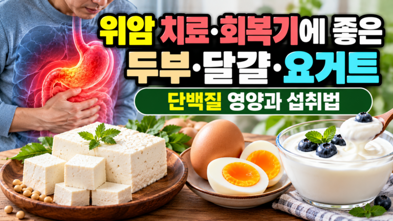 위암 치료·회복기 좋은 두부·달걀·요거트, 단백질 영양과 섭취법