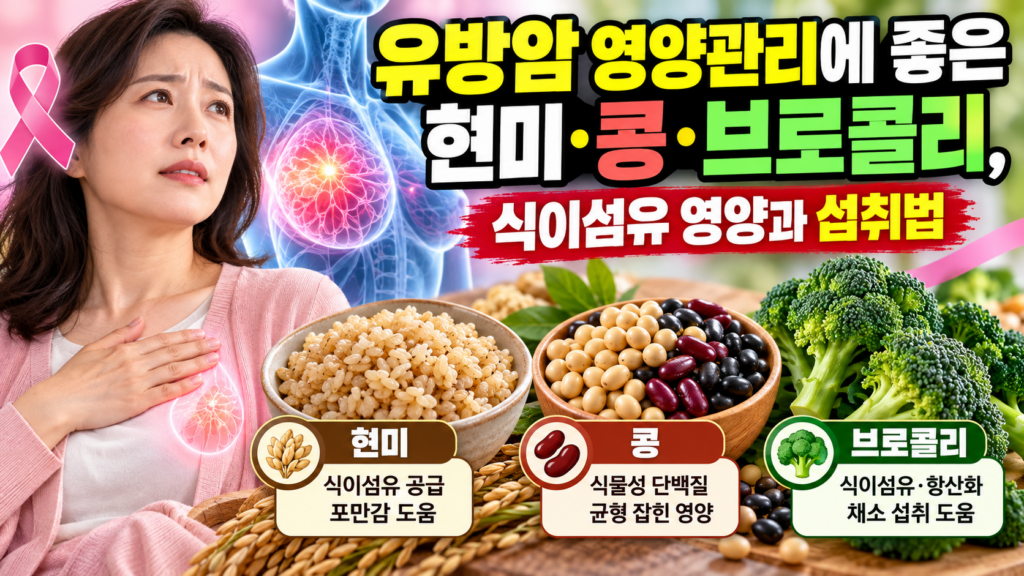 유방암 영양관리에 좋은 현미·콩·브로콜리, 식이섬유 영양과 섭취법