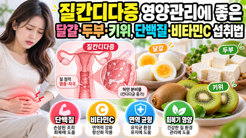 질칸디다증 영양관리에 좋은 달걀·두부·키위, 단백질·비타민C 섭취법