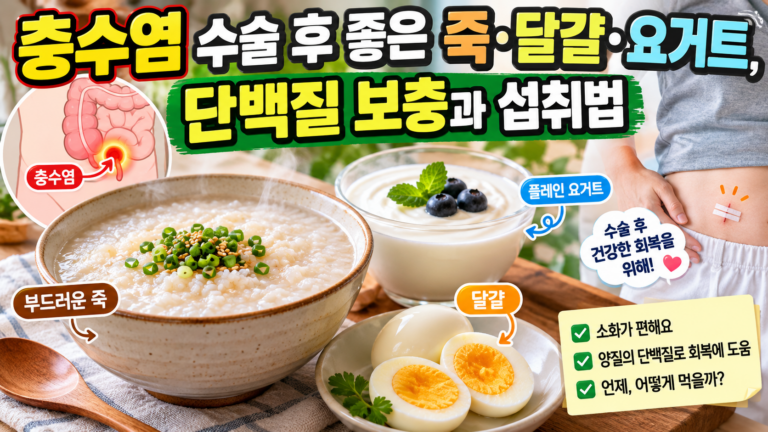 충수염 수술 후 좋은 죽·달걀·요거트, 단백질 보충과 섭취법 4 충수염 수술 후 좋은 죽·달걀·요거트, 단백질 보충과 섭취법