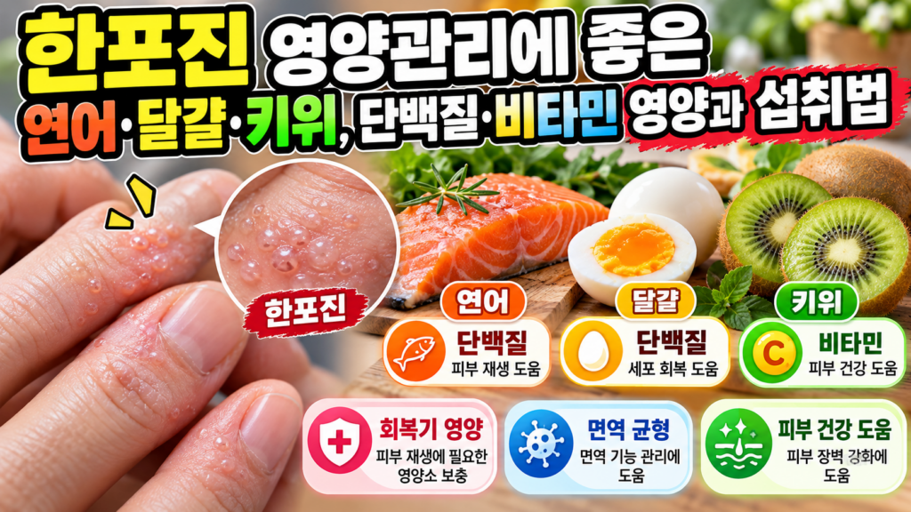 한포진 영양관리에 좋은 연어·달걀·키위, 단백질·비타민 영양과 섭취법 1 한포진 영양관리에 좋은 연어·달걀·키위, 단백질·비타민 영양과 섭취법