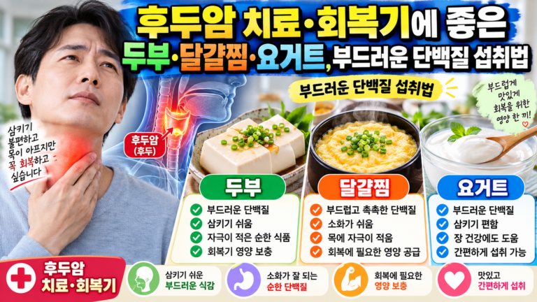 후두암 치료·회복기에 좋은 두부·달걀찜·요거트, 부드러운 단백질 섭취법